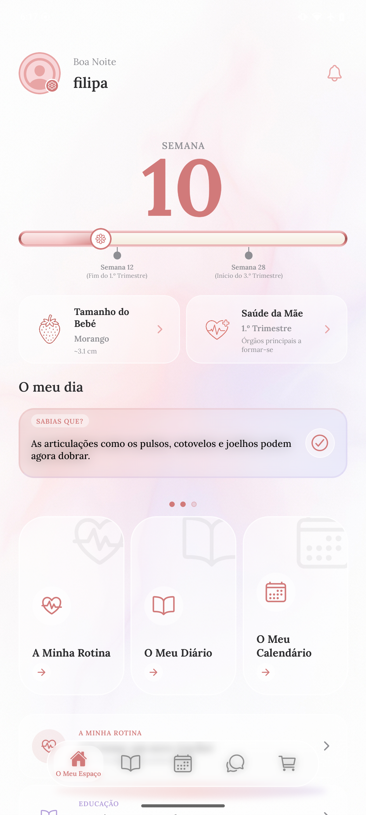Aplicação Mulma